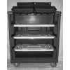 Convertible Shelf Bulk Cart - Forest Green - Stencil (1) - Wire Shelves (2) - Casters (6